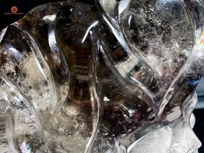 Crâne de Cristal Enflammé - Cristal de Roche Chlorite | obsidian dragons