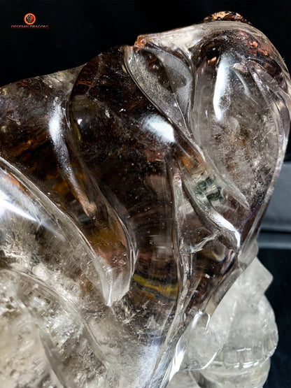 Crâne de Cristal Enflammé - Cristal de Roche Chlorite | obsidian dragons