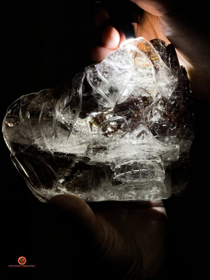 Crâne de Cristal Enflammé - Cristal de Roche Chlorite | obsidian dragons