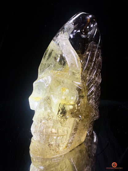 Crâne de Cristal Fontaine à Encens – Quartz Fumé & Cristal | obsidian dragons