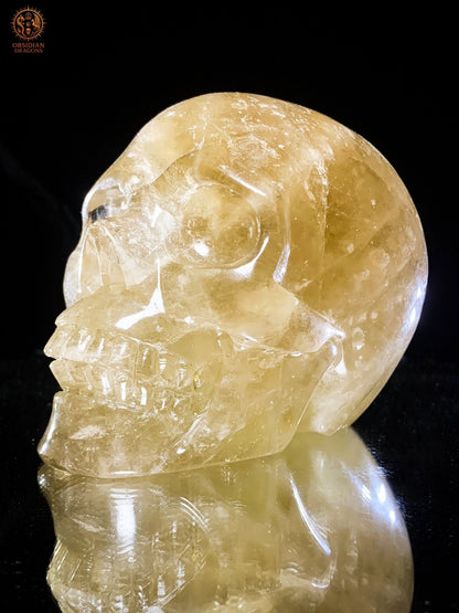 Crâne de Cristal Quartz Fumé Naturel – Reflets Arc-en-Ciel | obsidian dragons