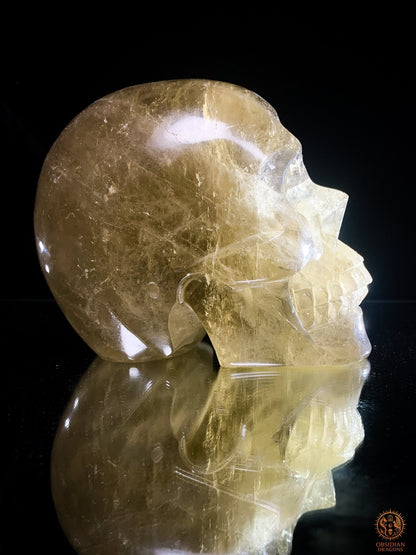 Crâne de Cristal Quartz Fumé Naturel – Reflets Arc-en-Ciel | obsidian dragons