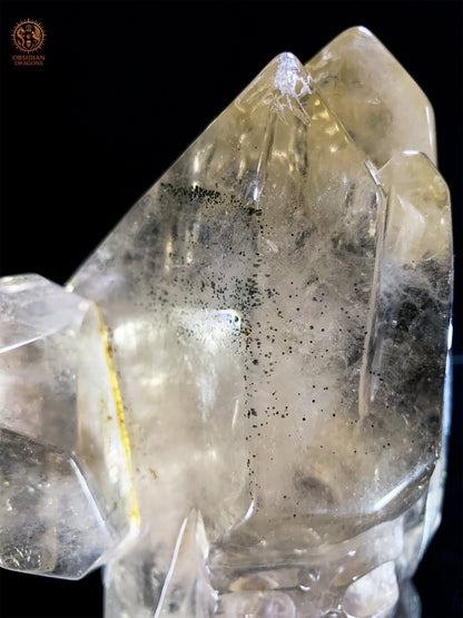 Crâne de Cristal - Quartz naturel Sculpté et Volumes Bruts | obsidian dragons