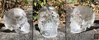 Crâne de Cristal Rare - Cristal de Roche – Pièce de Collection