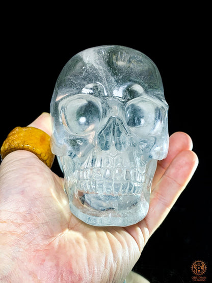 Crâne de Cristal Rare - Cristal de Roche – Pièce de Collection