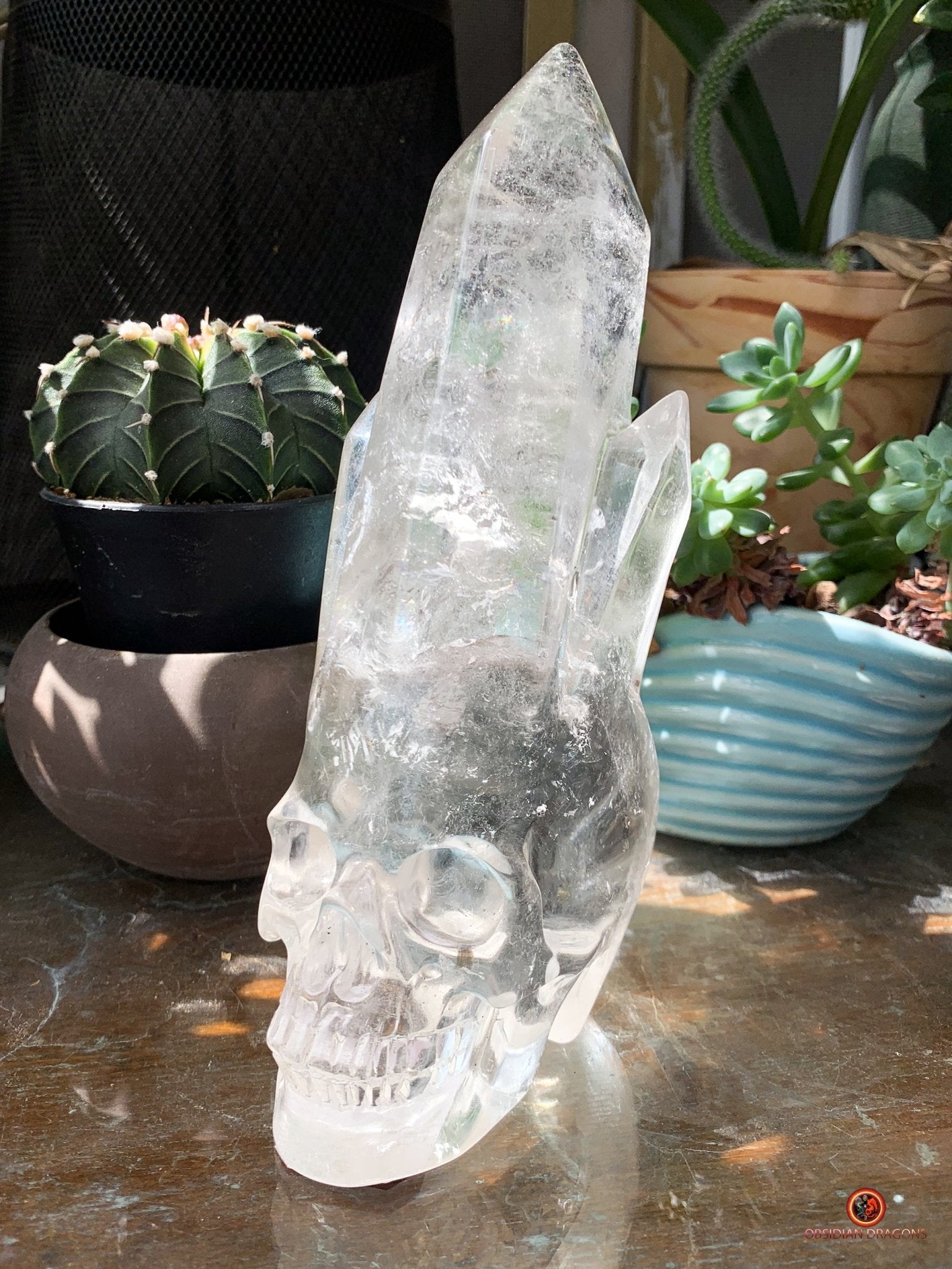 Crâne de Cristal - cristal de roche - Crâne à Pointes de Cristal | obsidian dragons