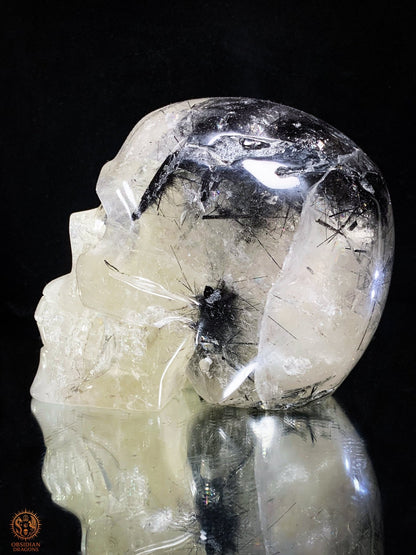Crâne de Cristal - cristal de roche à Tourmaline Noire – Rare | obsidian dragons