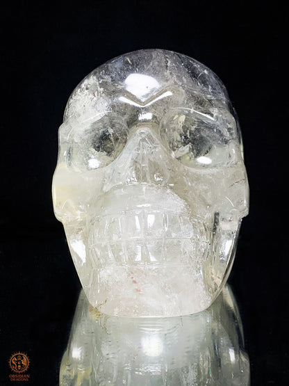 Crâne de Cristal - cristal de roche à Tourmaline Noire – Rare | obsidian dragons