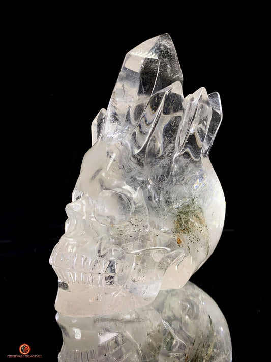 Crâne de Cristal de Roche - Crâne à Pointes de cristal | obsidian dragons