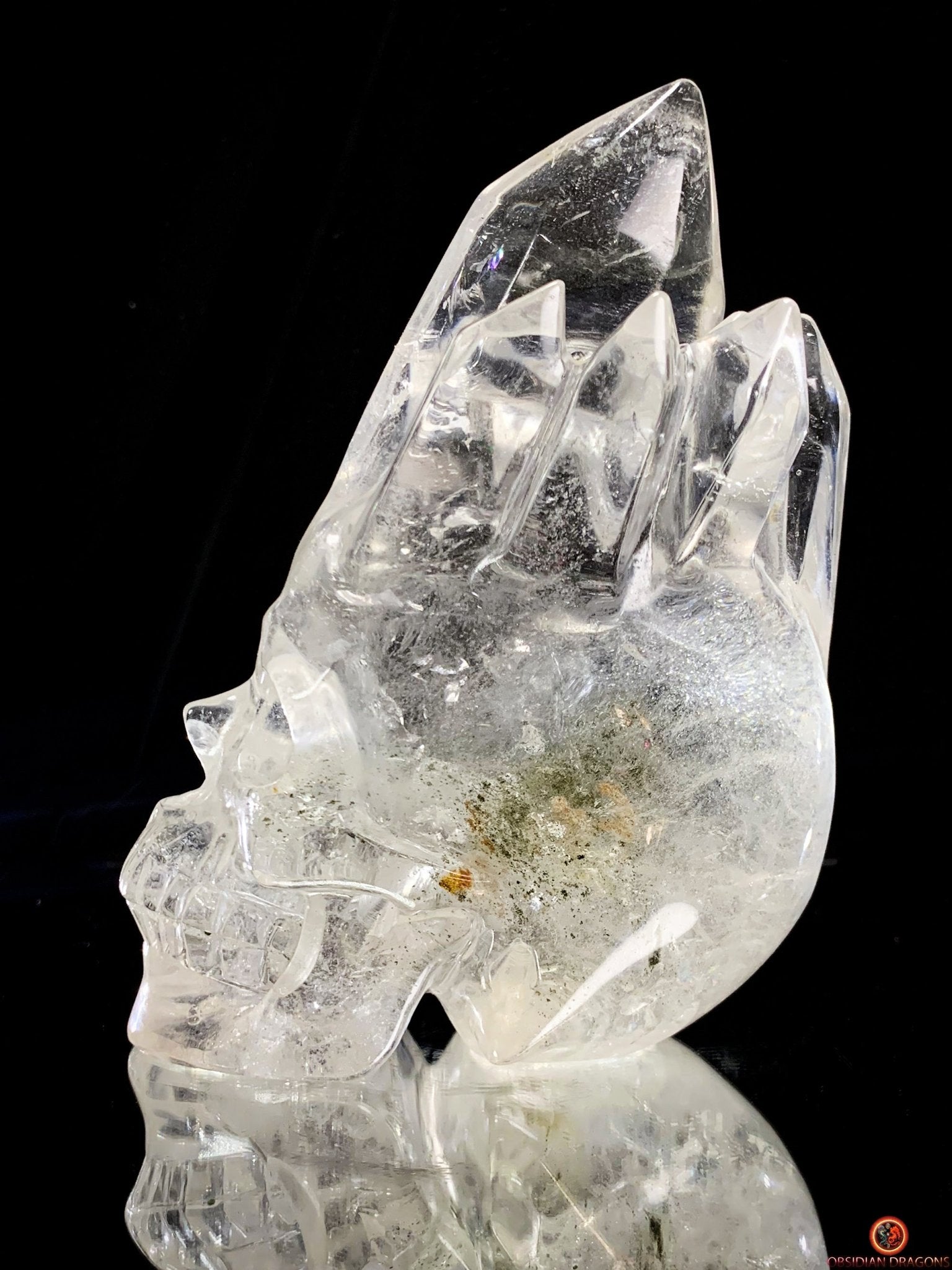 Crâne de Cristal de Roche - Crâne à Pointes de cristal | obsidian dragons