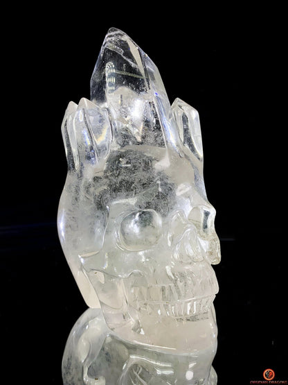 Crâne de Cristal de Roche - Crâne à Pointes de cristal - obsidian dragons