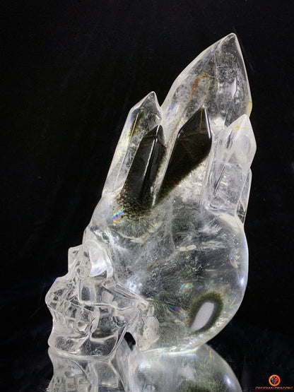 Crâne de Cristal de Roche haut de gamme - cristal de qualité rare