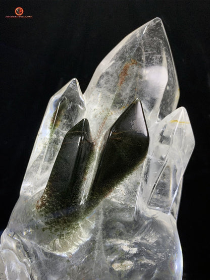 Crâne de Cristal de Roche haut de gamme - cristal de qualité rare | obsidian dragons