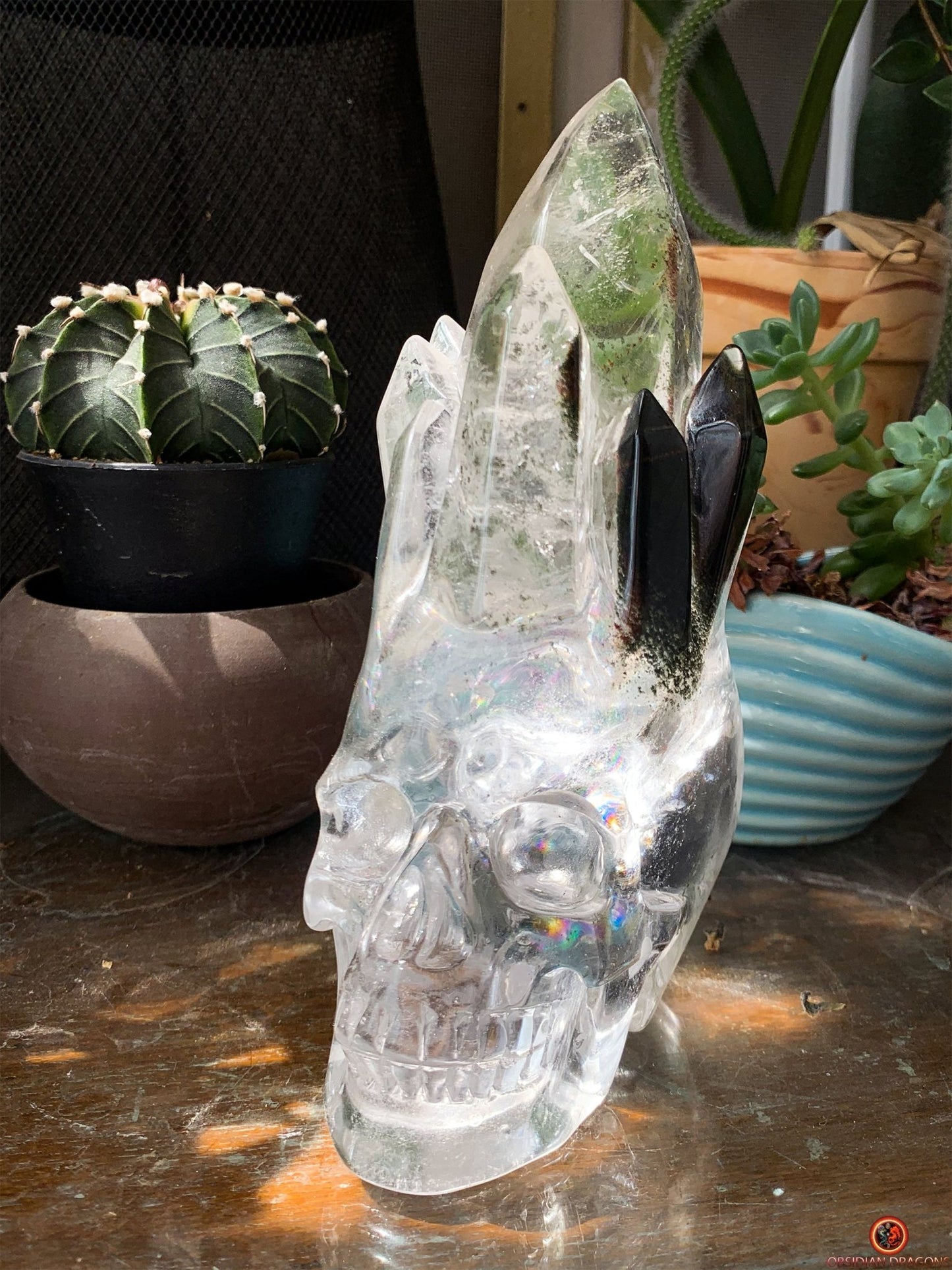 Crâne de Cristal de Roche haut de gamme - cristal de qualité rare