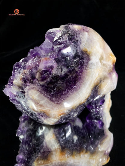 Crâne de Cristal en Améthyste - Crâne de Méditation exceptionnel | obsidian dragons