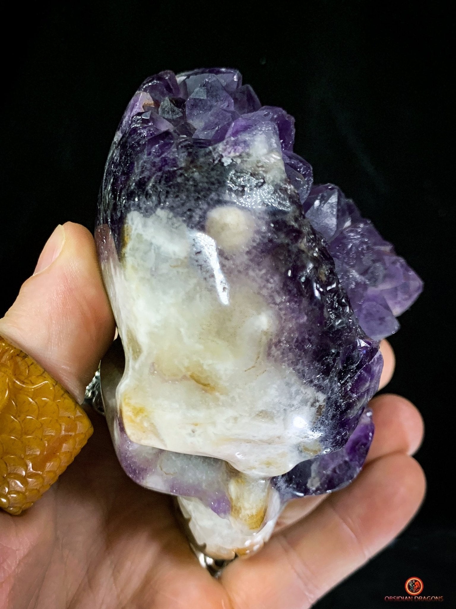 Crâne de Cristal en Améthyste - Crâne de Méditation exceptionnel | obsidian dragons