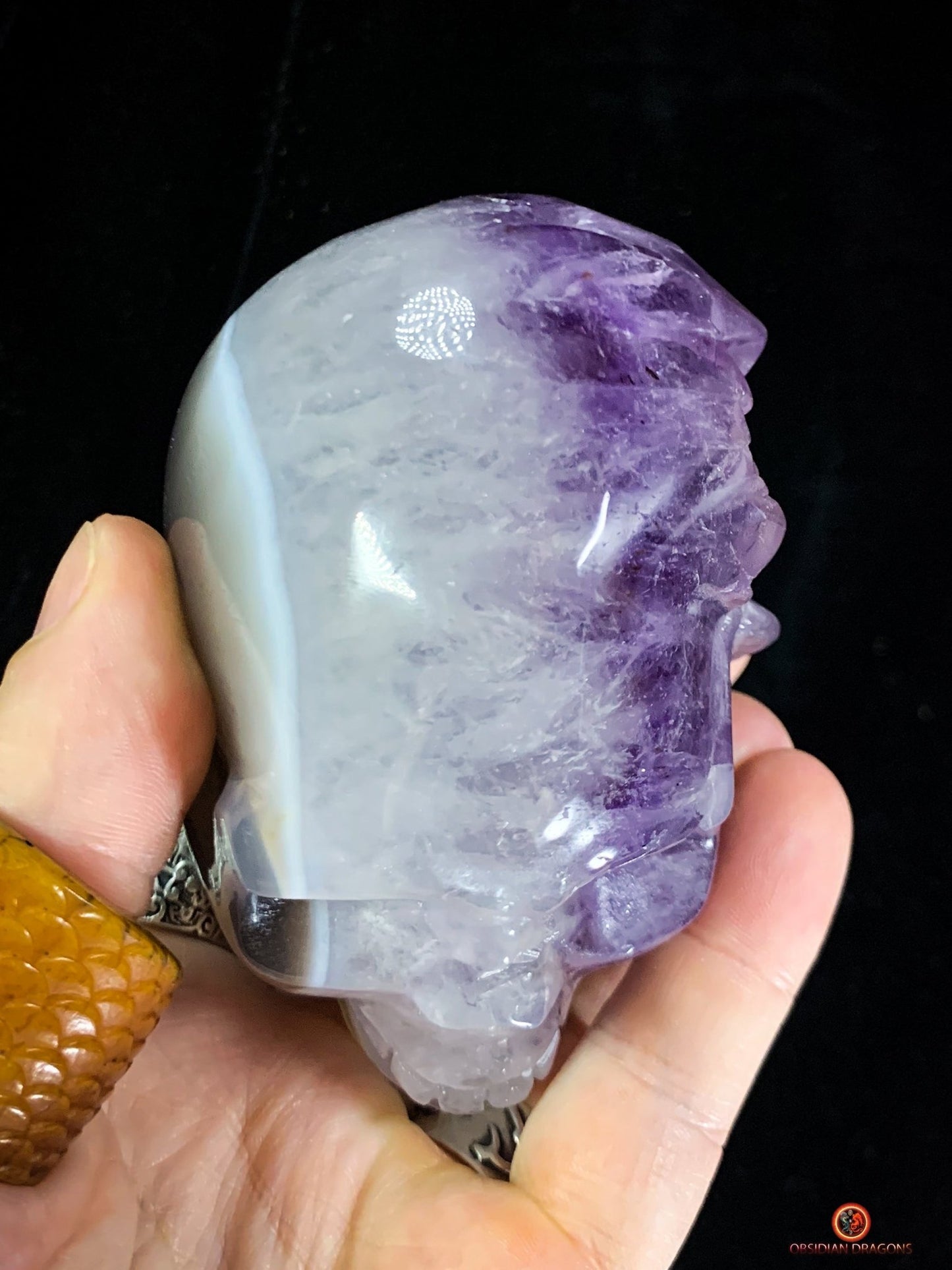 Crâne de Cristal en Améthyste – Cristal d’Éveil rare | obsidian dragons
