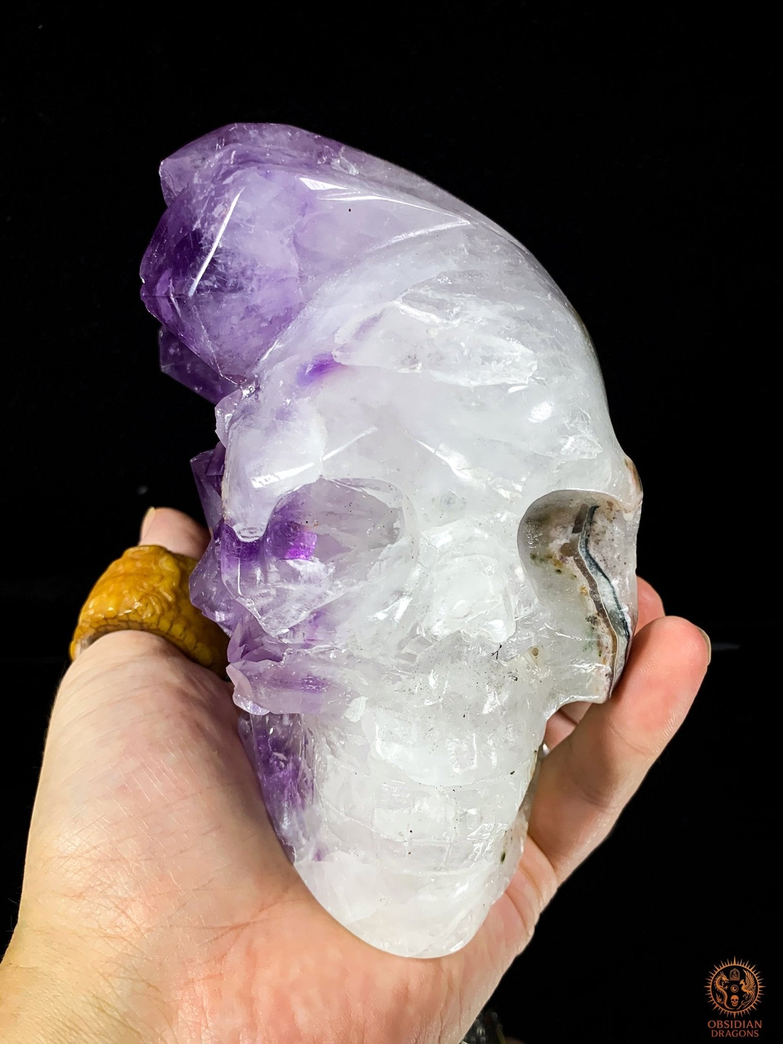 Crâne de Cristal en Améthyste – Éveil Stellaire | obsidian dragons