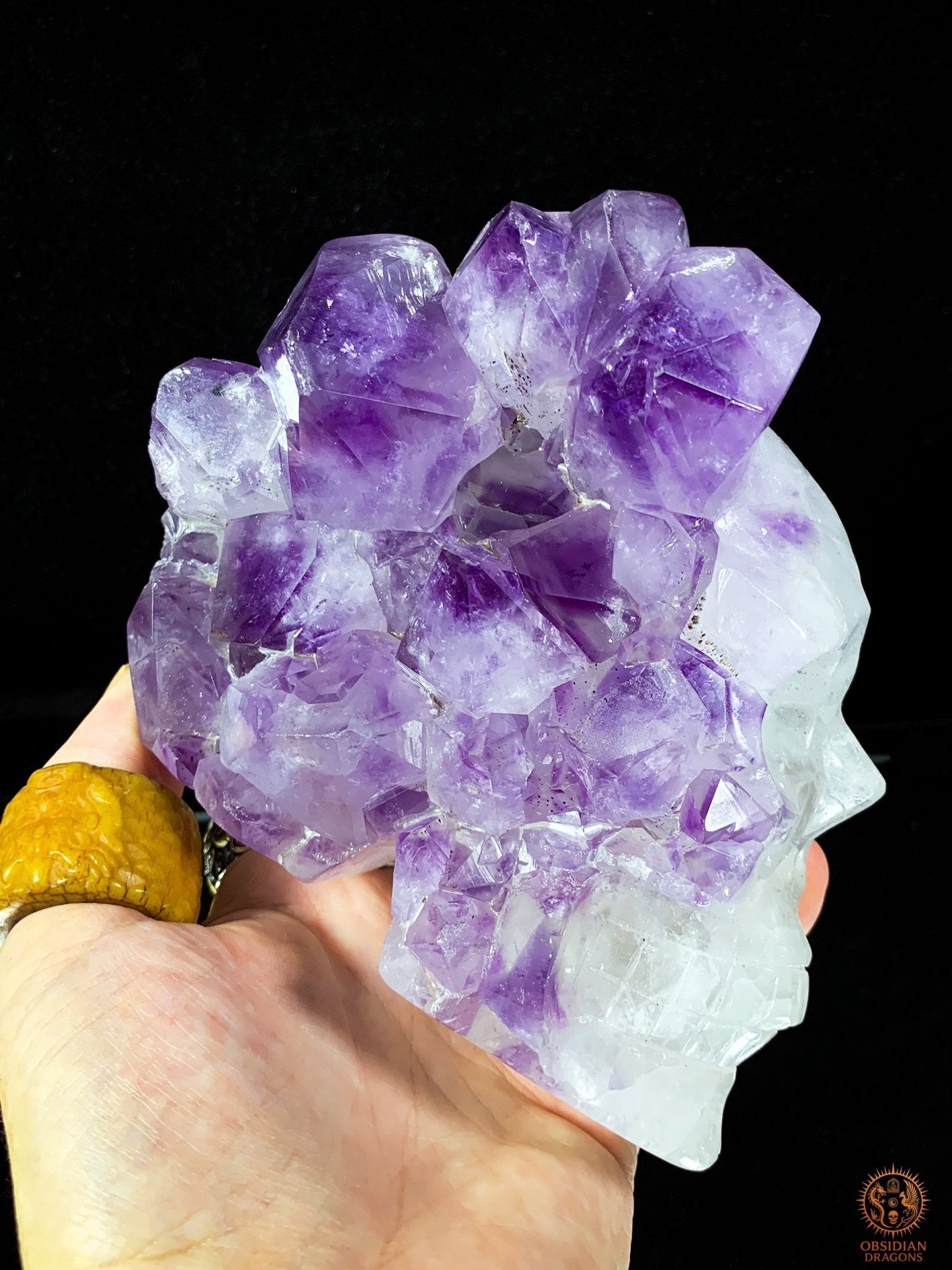 Crâne de Cristal en Améthyste – Éveil Stellaire - obsidian dragons