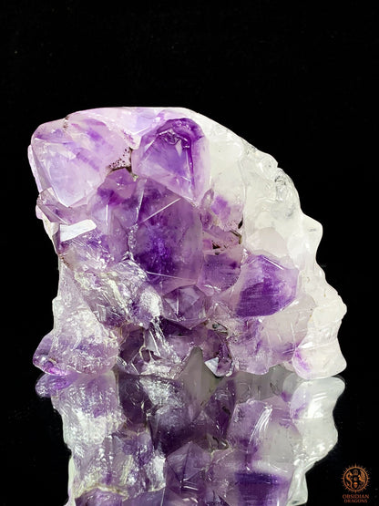 Crâne de Cristal en Améthyste – Flamme Intérieure | obsidian dragons