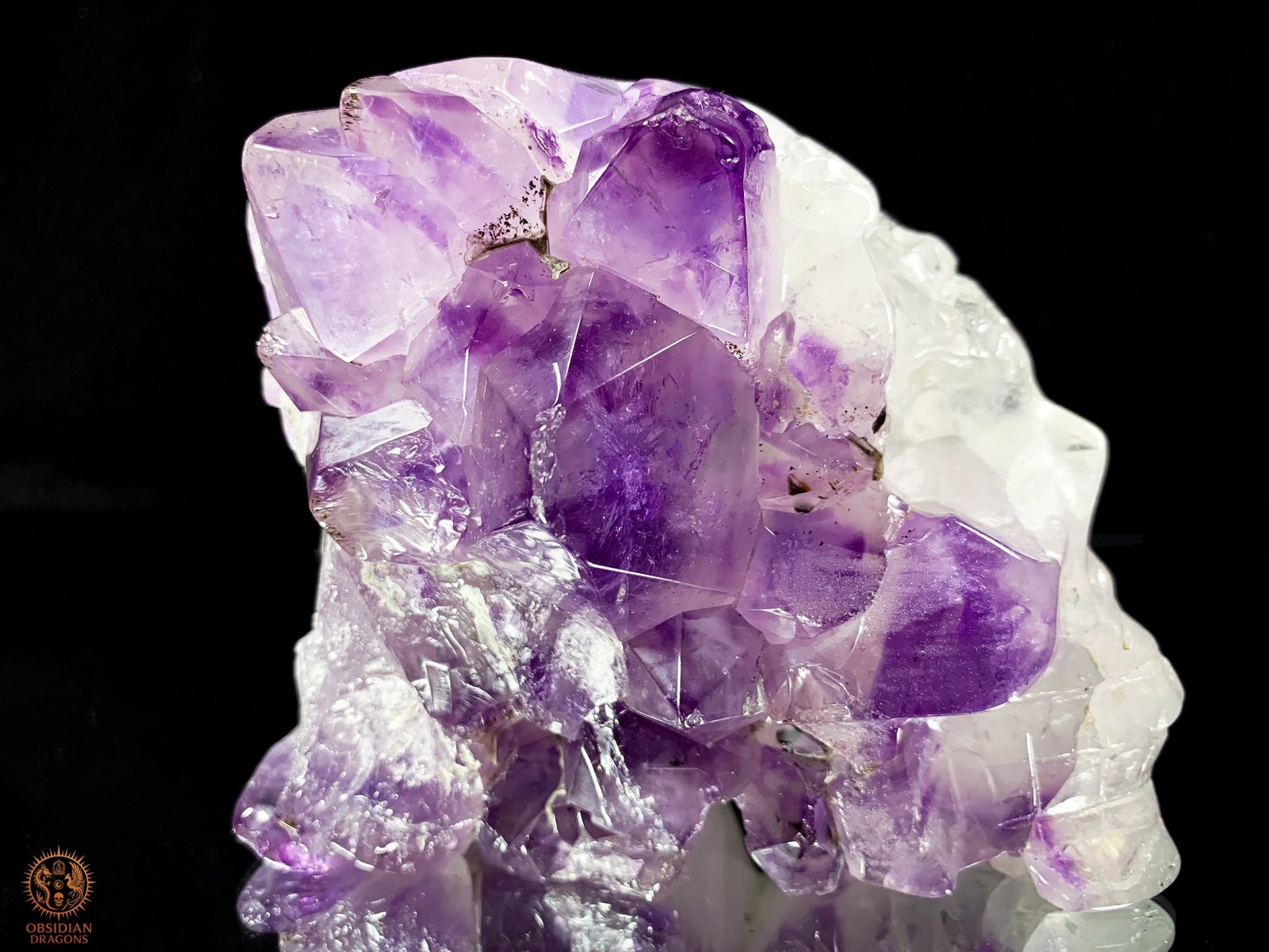 Crâne de Cristal en Améthyste – Flamme Intérieure | obsidian dragons