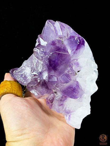 Crâne de Cristal en Améthyste – Flamme Intérieure | obsidian dragons
