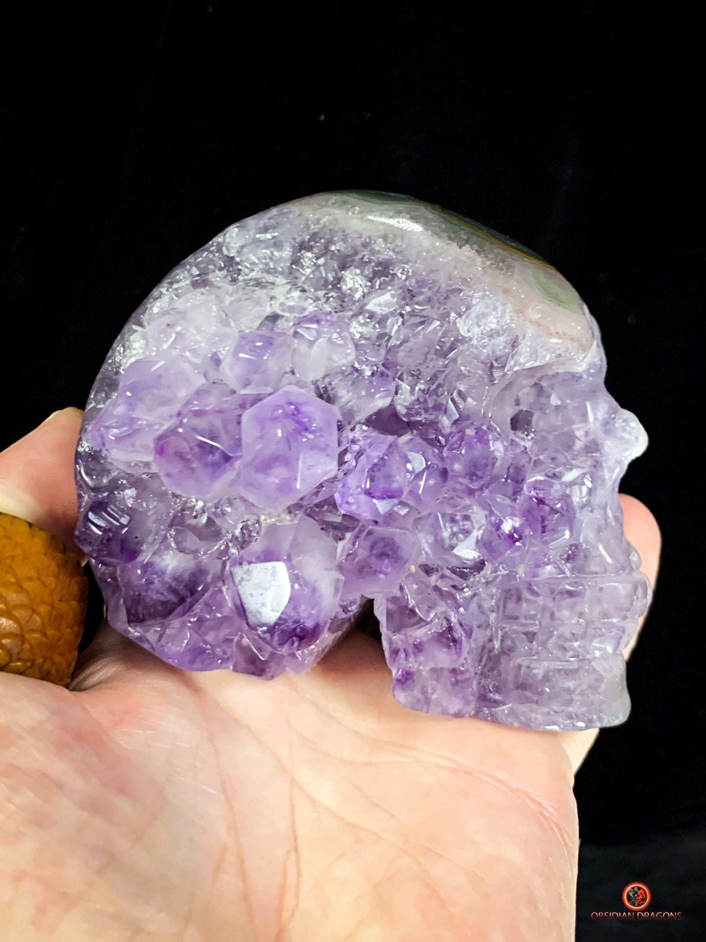Crâne de Cristal en Améthyste - Fusion Énergétique rare - obsidian dragons