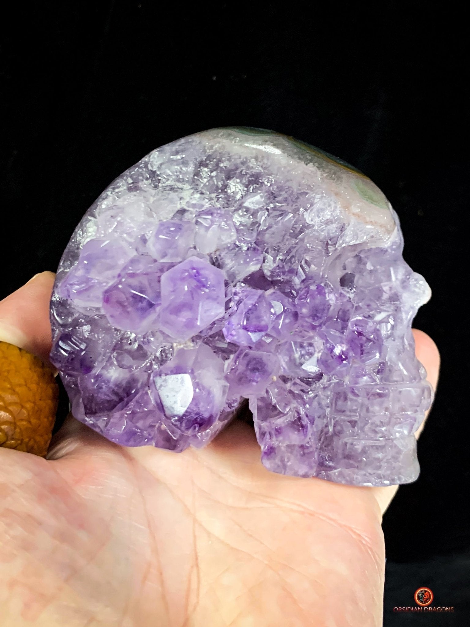 Crâne de Cristal en Améthyste - Fusion Énergétique rare - obsidian dragons