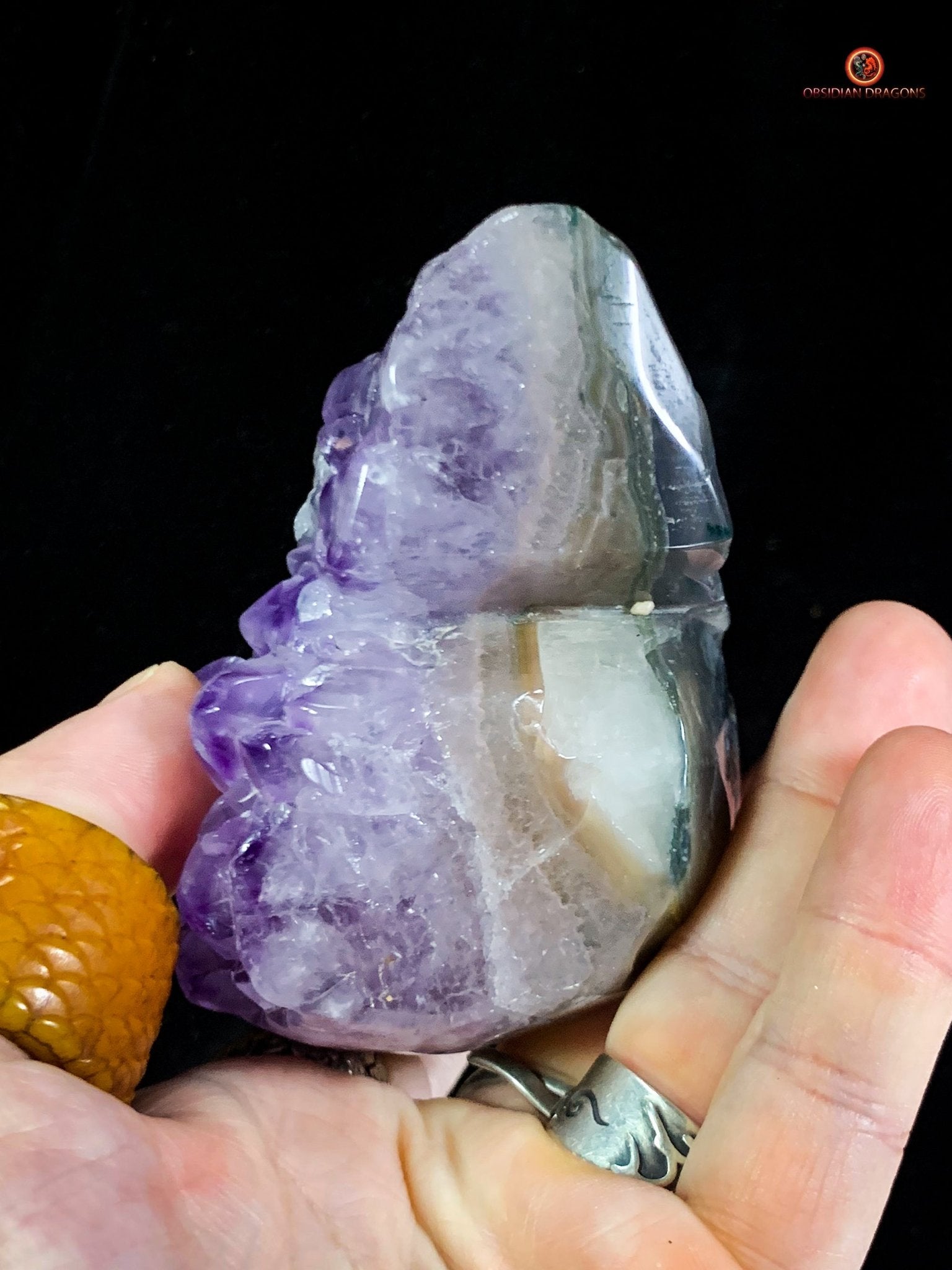 Crâne de Cristal en Améthyste - Fusion Énergétique rare - obsidian dragons