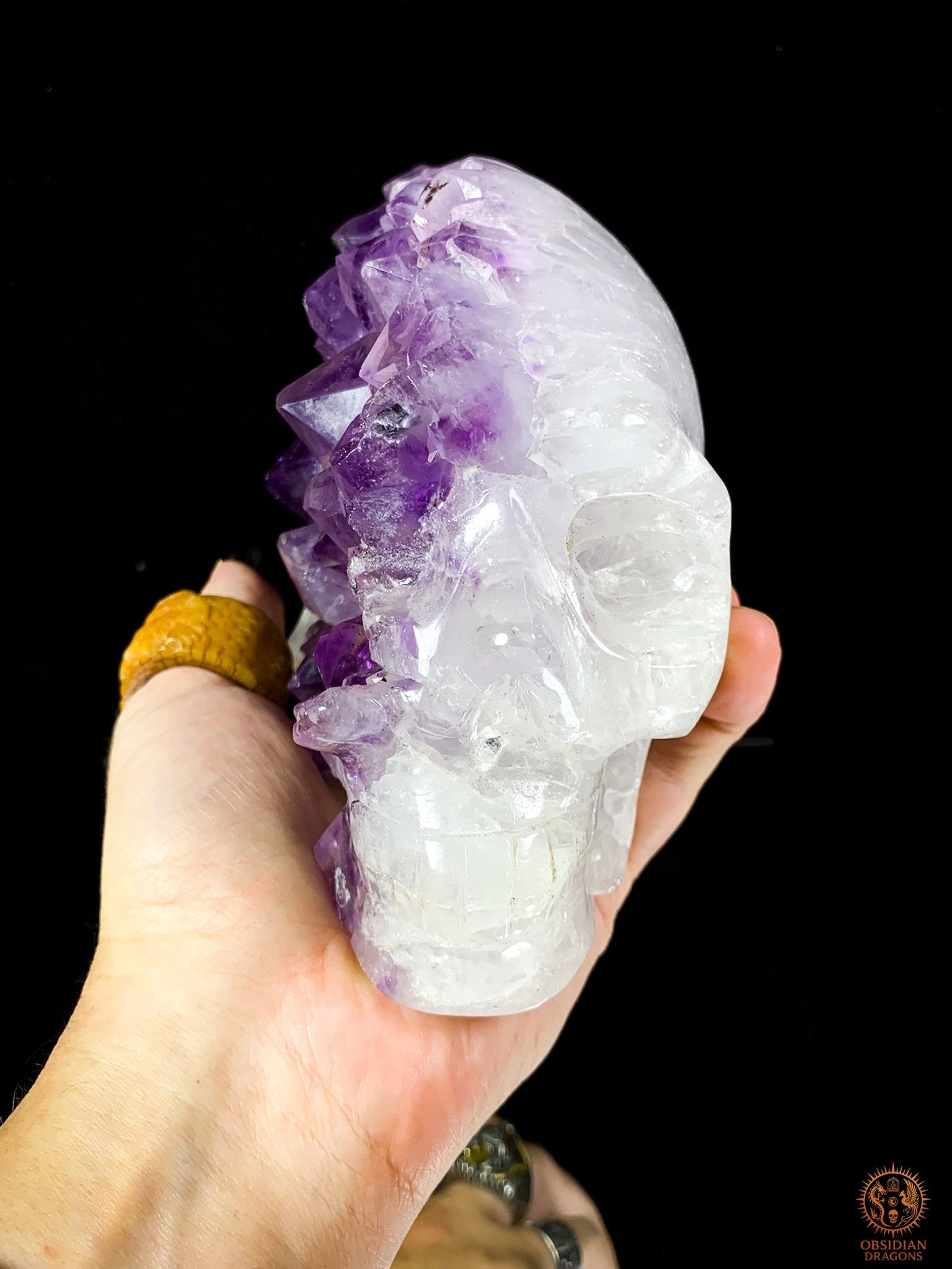 Crâne de Cristal en Améthyste – Vision Céleste | obsidian dragons