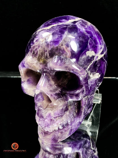 Crâne de Cristal en Améthyste- Unique et Précieux | obsidian dragons