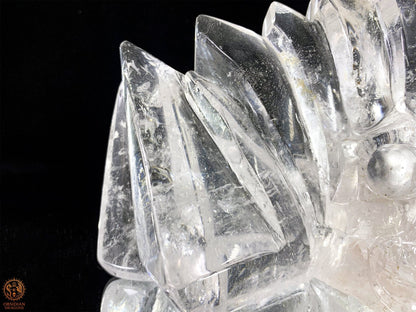 Crâne de Cristal en Cristal de Roche – Couronne de lumière | obsidian dragons