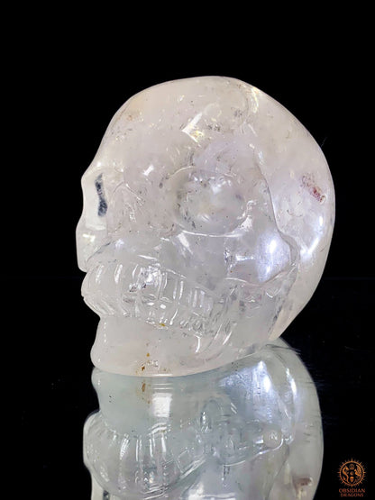 Crâne de Cristal en Cristal de Roche à inclusions de tourmaline | obsidian dragons