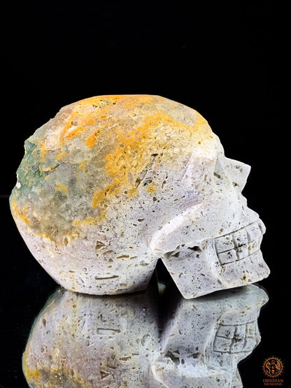 Crâne de Cristal en Fluorite Verte Brute – Clarté Énergétique | obsidian dragons