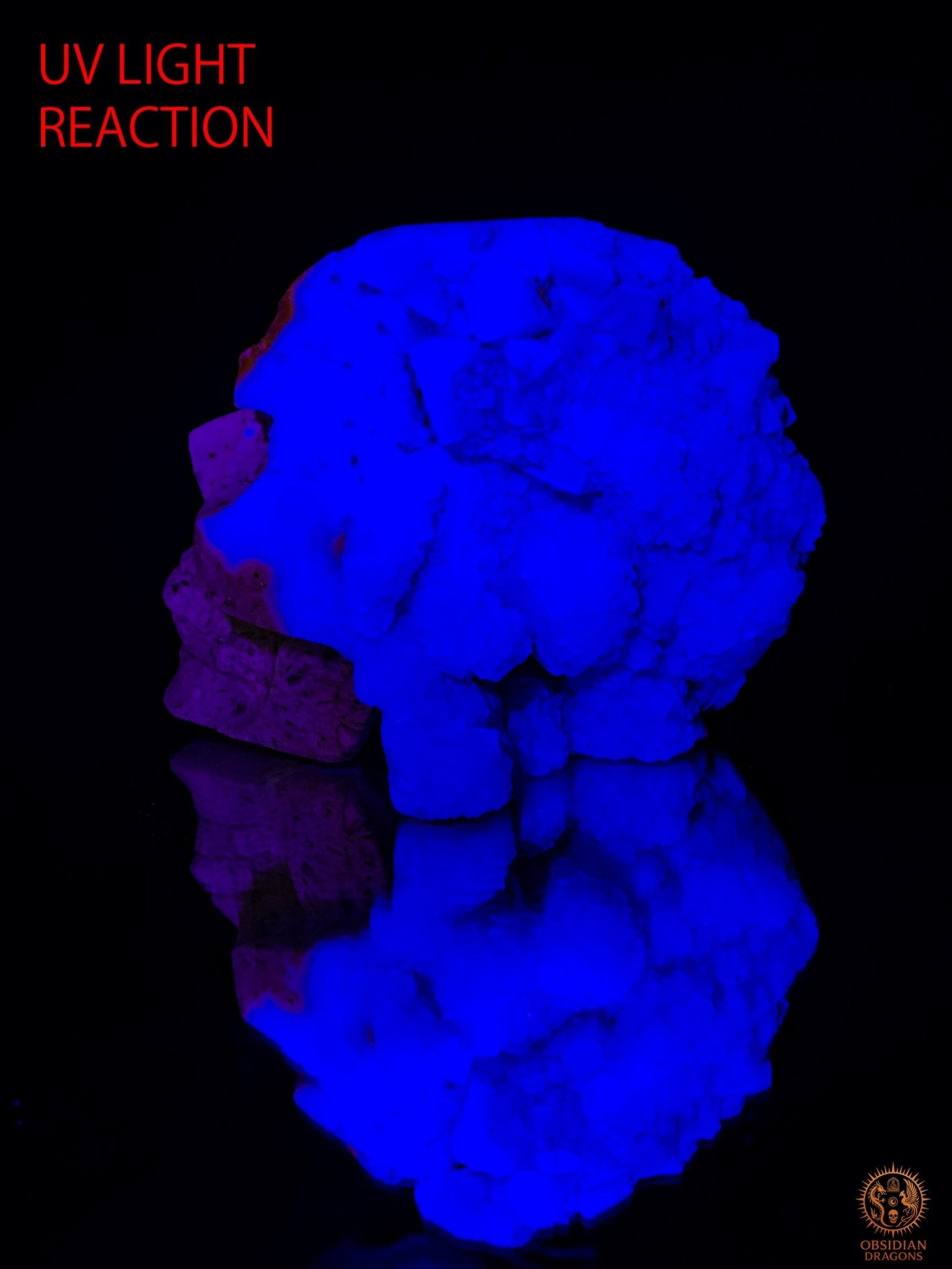 Crâne de Cristal en Fluorite Verte Brute – Clarté Énergétique | obsidian dragons
