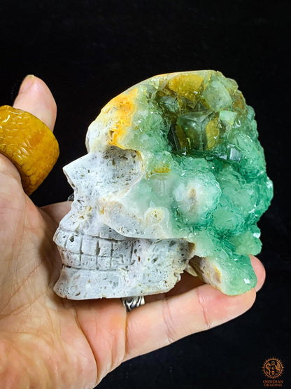 Crâne de Cristal en Fluorite Verte Brute – Clarté Énergétique | obsidian dragons
