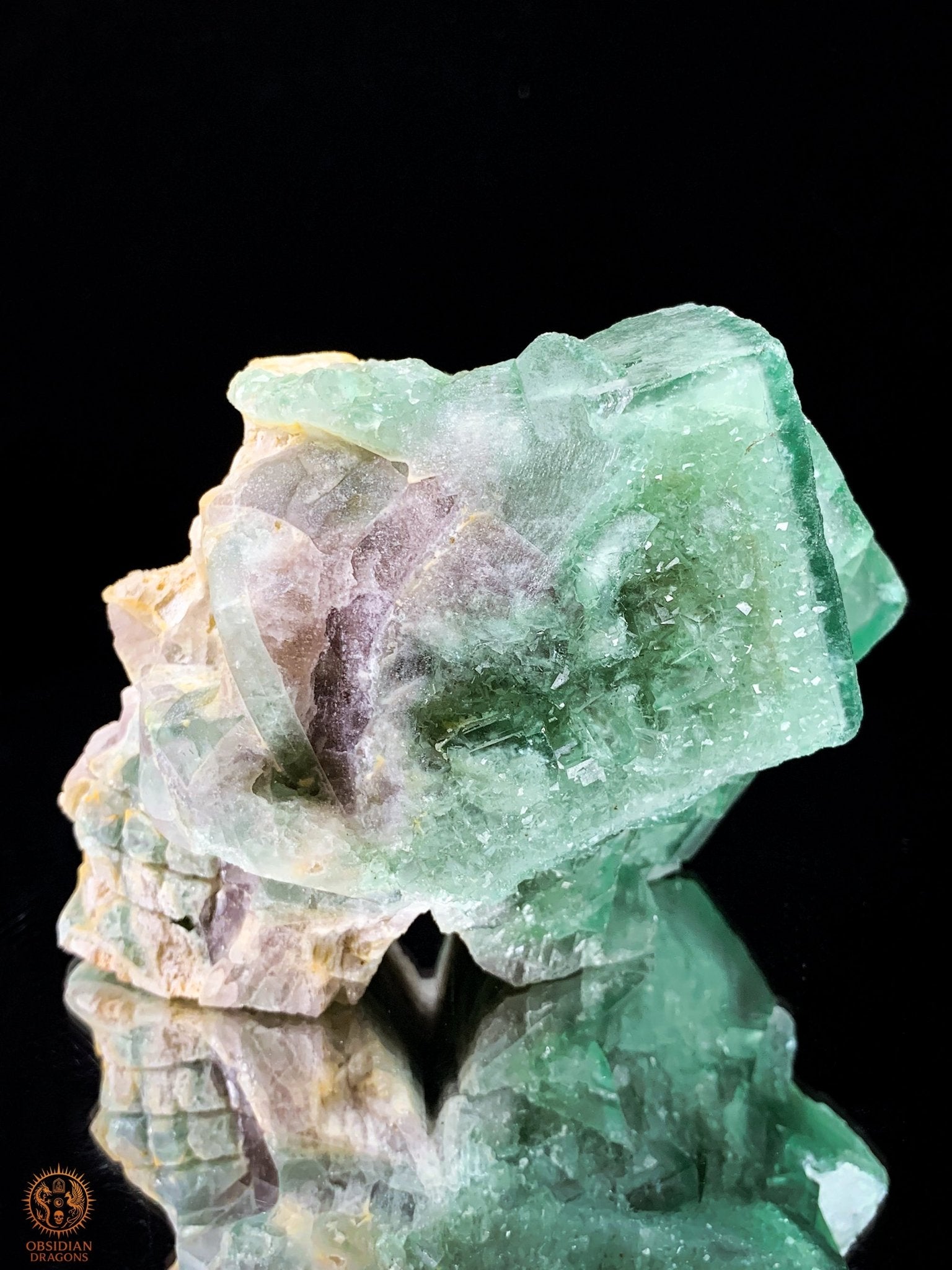 Crâne de Cristal en Fluorite Verte Brute – Clarté & Énergie | obsidian dragons