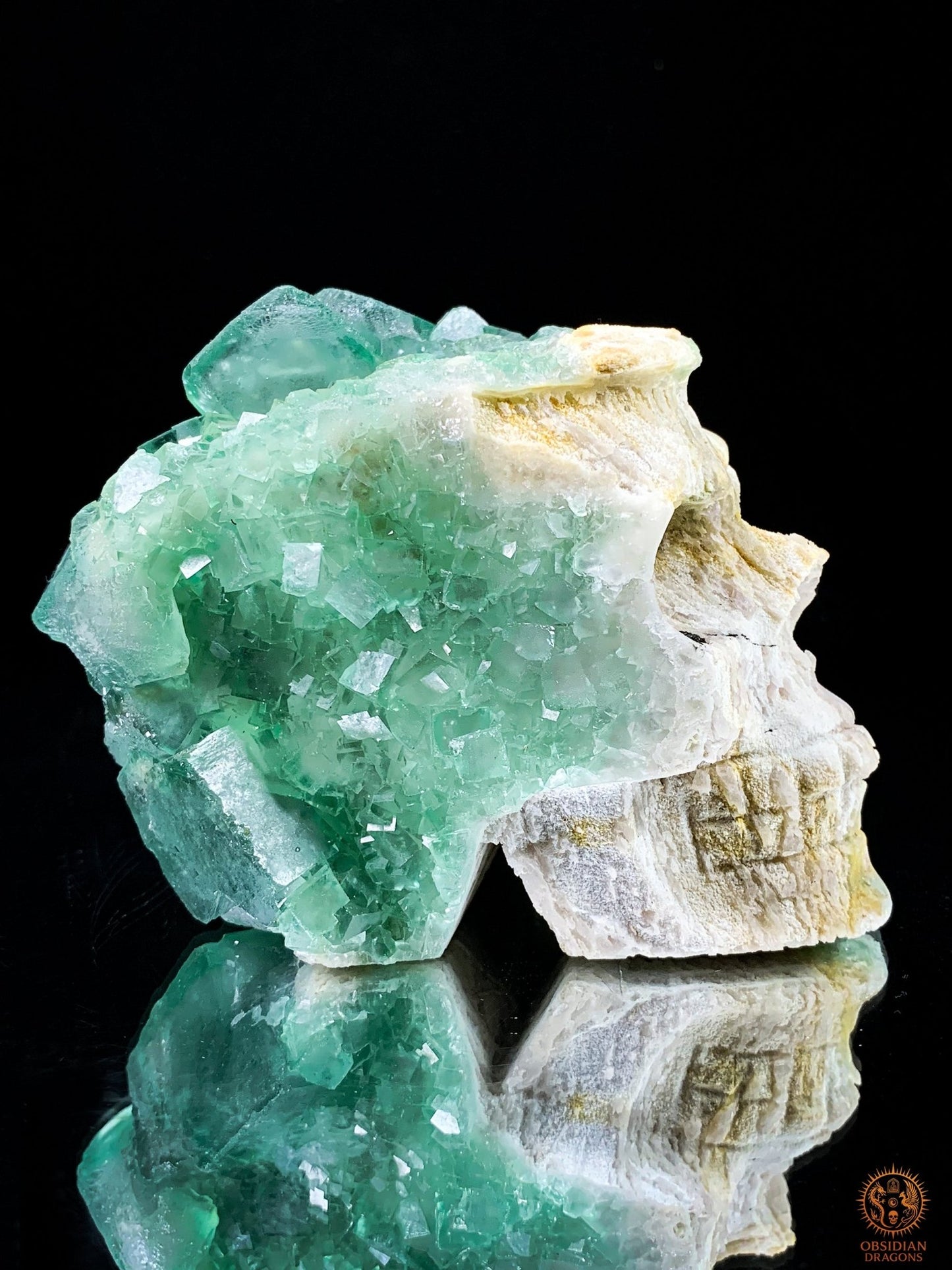Crâne de Cristal en Fluorite Verte Brute – Clarté & Énergie | obsidian dragons