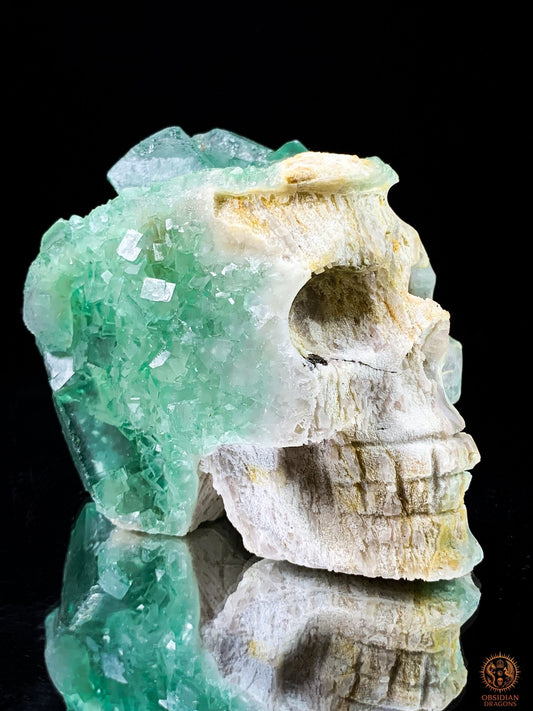 Crâne de Cristal en Fluorite Verte Brute – Clarté & Énergie | obsidian dragons
