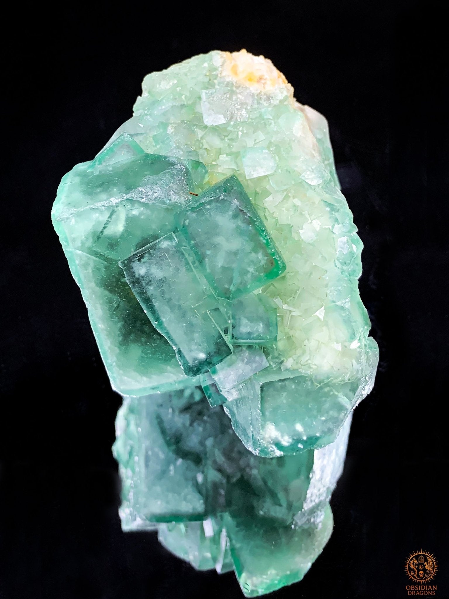 Crâne de Cristal en Fluorite Verte Brute – Clarté & Énergie | obsidian dragons