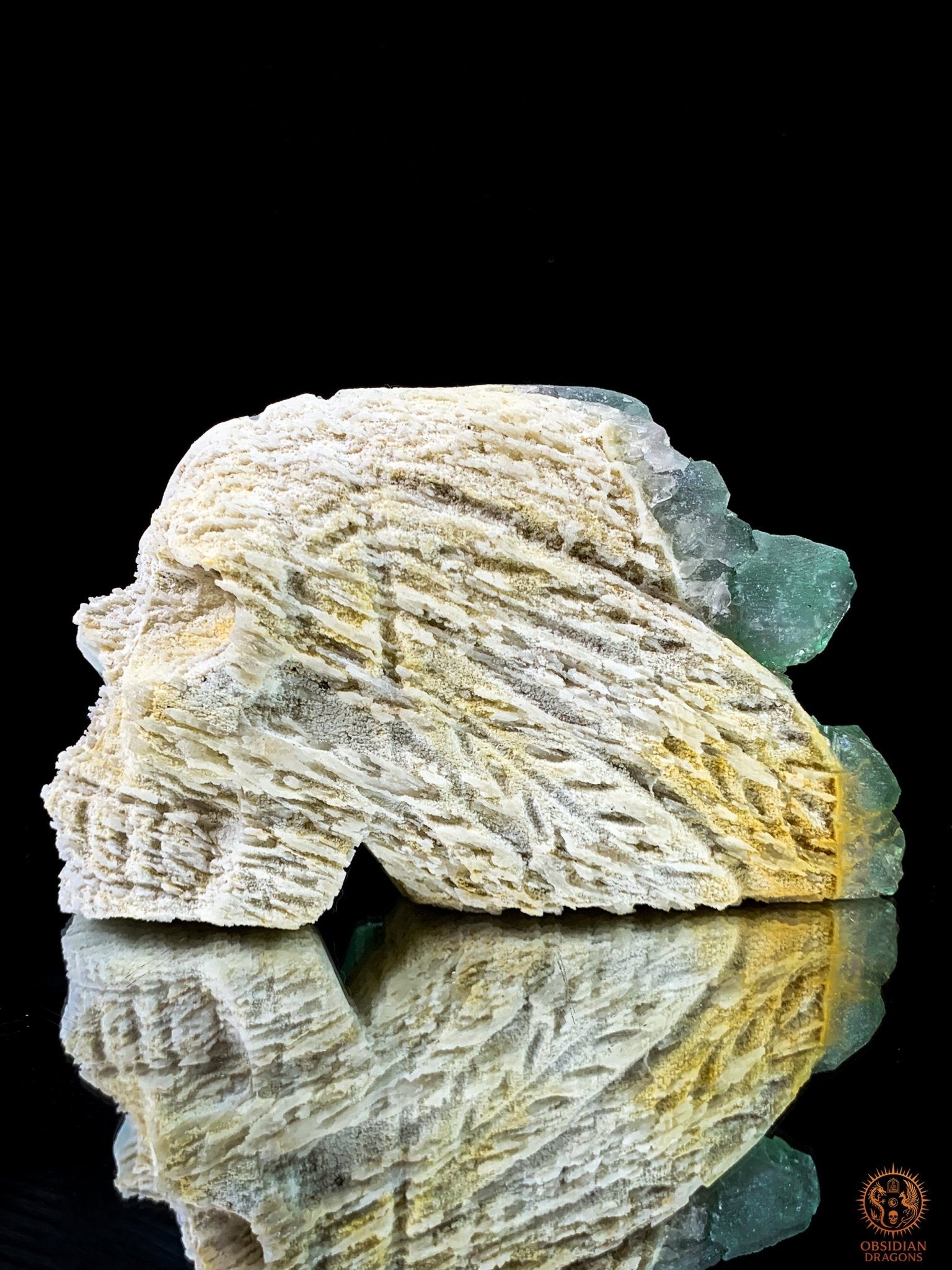 Crâne de Cristal en Fluorite Verte Brute – Crâne ailé | obsidian dragons