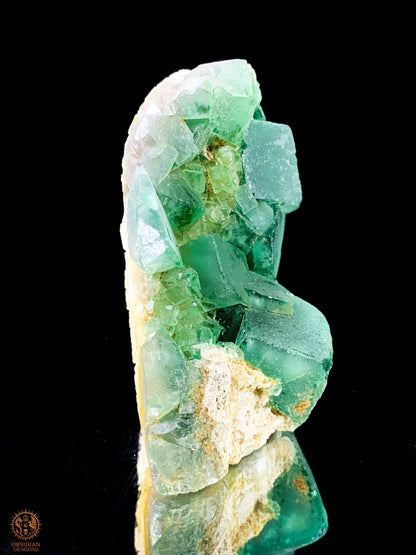 Crâne de Cristal en Fluorite Verte Brute – Crâne ailé