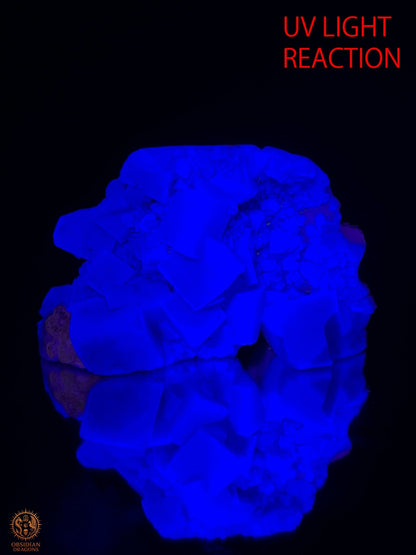 Crâne de Cristal en Fluorite Verte Brute – Crâne ailé | obsidian dragons