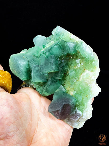 Crâne de Cristal en Fluorite Verte Brute – Crâne ailé | obsidian dragons