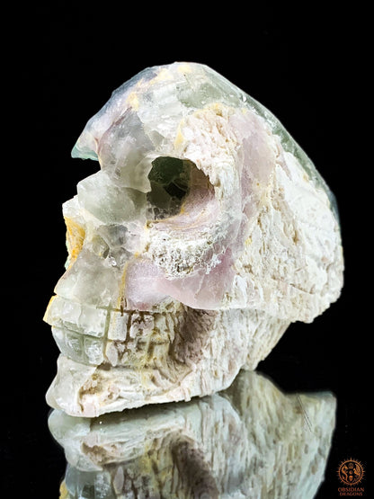 Crâne de Cristal en Fluorite Verte Brute – Crâne de cristal ailé | obsidian dragons