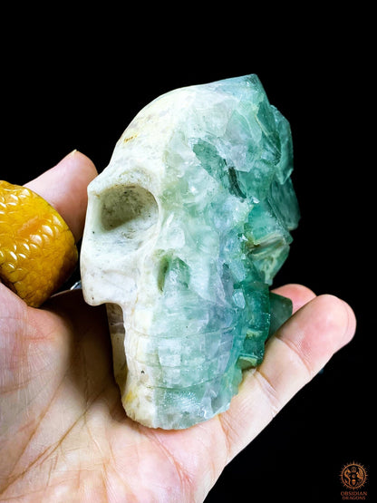 Crâne de Cristal en Fluorite Verte Brute – Harmonie & Clarté | obsidian dragons