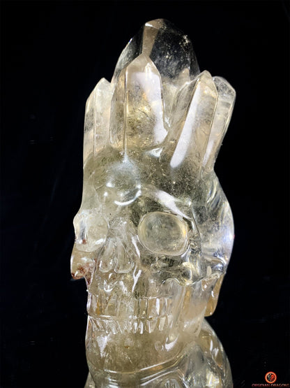 Crâne de Cristal en Quartz Fumé – Crâne de Cristal à Pointes | obsidian dragons