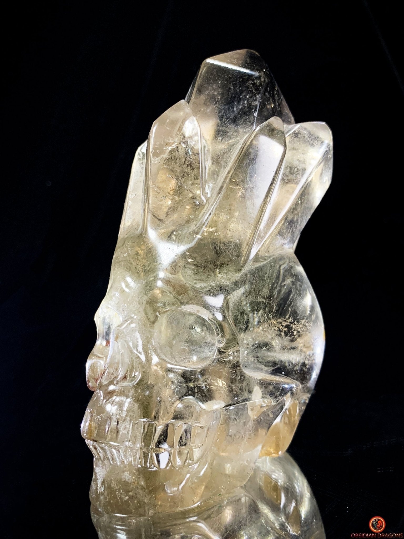 Crâne de Cristal en Quartz Fumé – Crâne de Cristal à Pointes | obsidian dragons