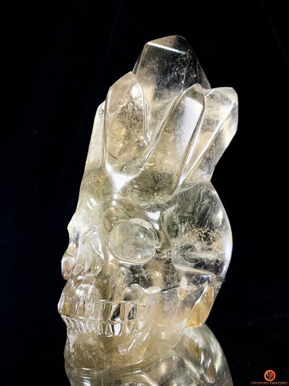 Crâne de Cristal en Quartz Fumé – Crâne de Cristal à Pointes | obsidian dragons