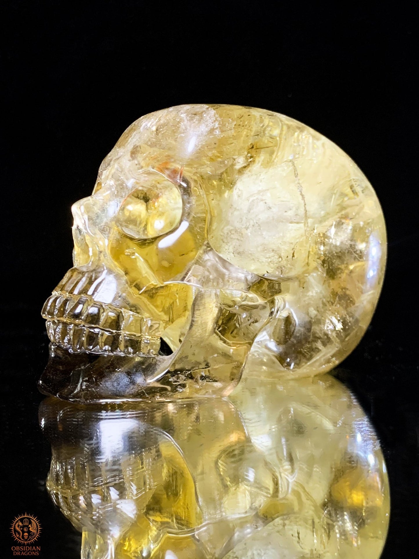 Crâne de Cristal en Quartz Fumé – Reflets Arc-en-Ciel - rare | obsidian dragons
